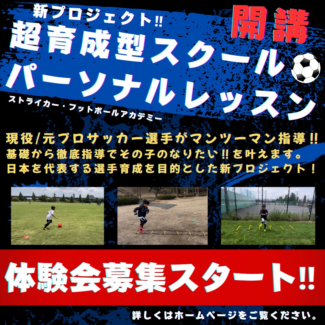 マンツーマン・個別指導【パーソナルレッスン】 - ストライカー塾 